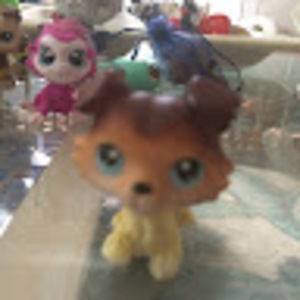 Meet your Posher, Madelynn